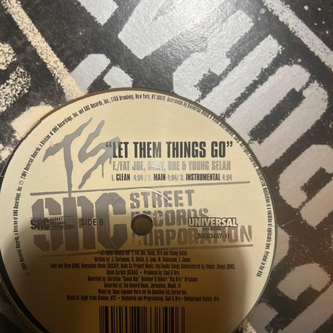 Big Pun, Fat Joe, テラースクワッドなど レコード12枚セット