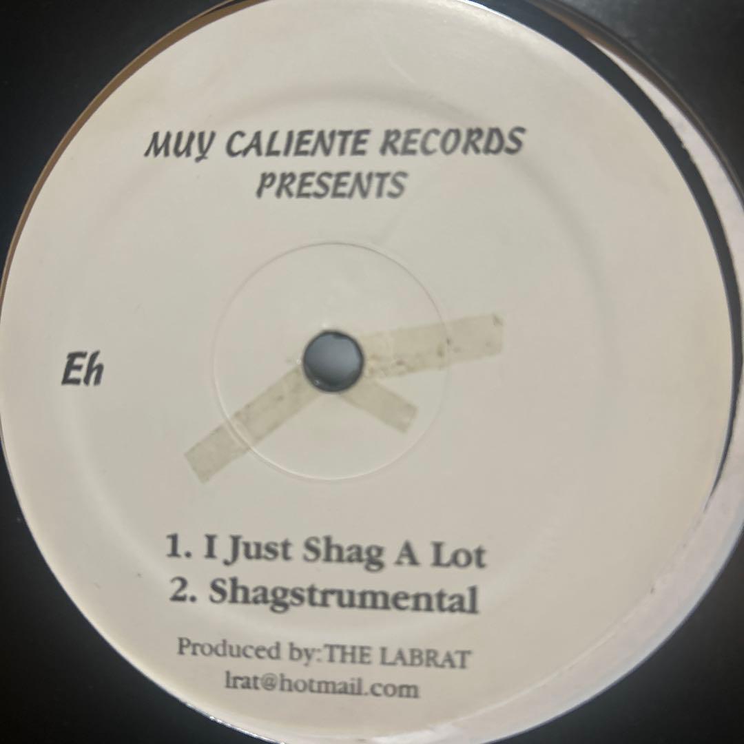 Big Pun, Fat Joe, テラースクワッドなど レコード12枚セット
