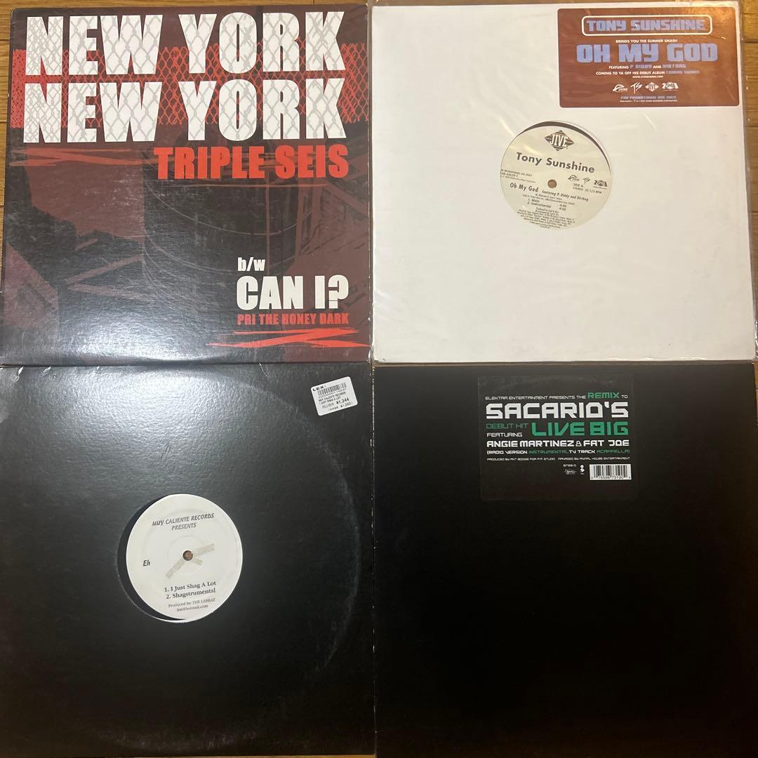 Big Pun, Fat Joe, テラースクワッドなど レコード12枚セット