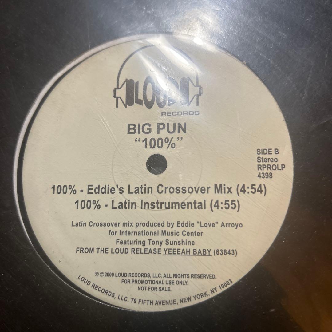 Big Pun, Fat Joe, テラースクワッドなど レコード12枚セット