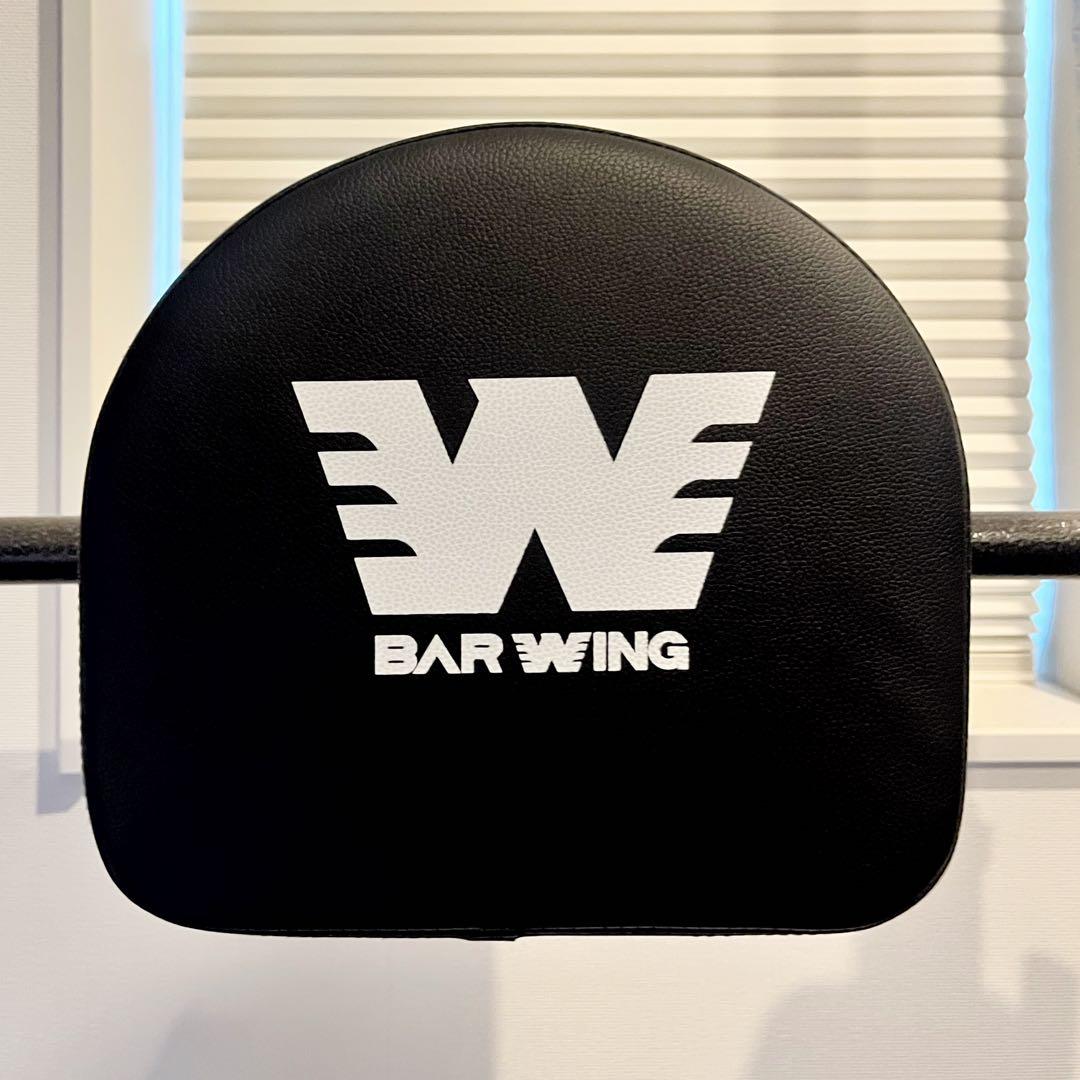 BARWING ぶら下がり健康器 懸垂機