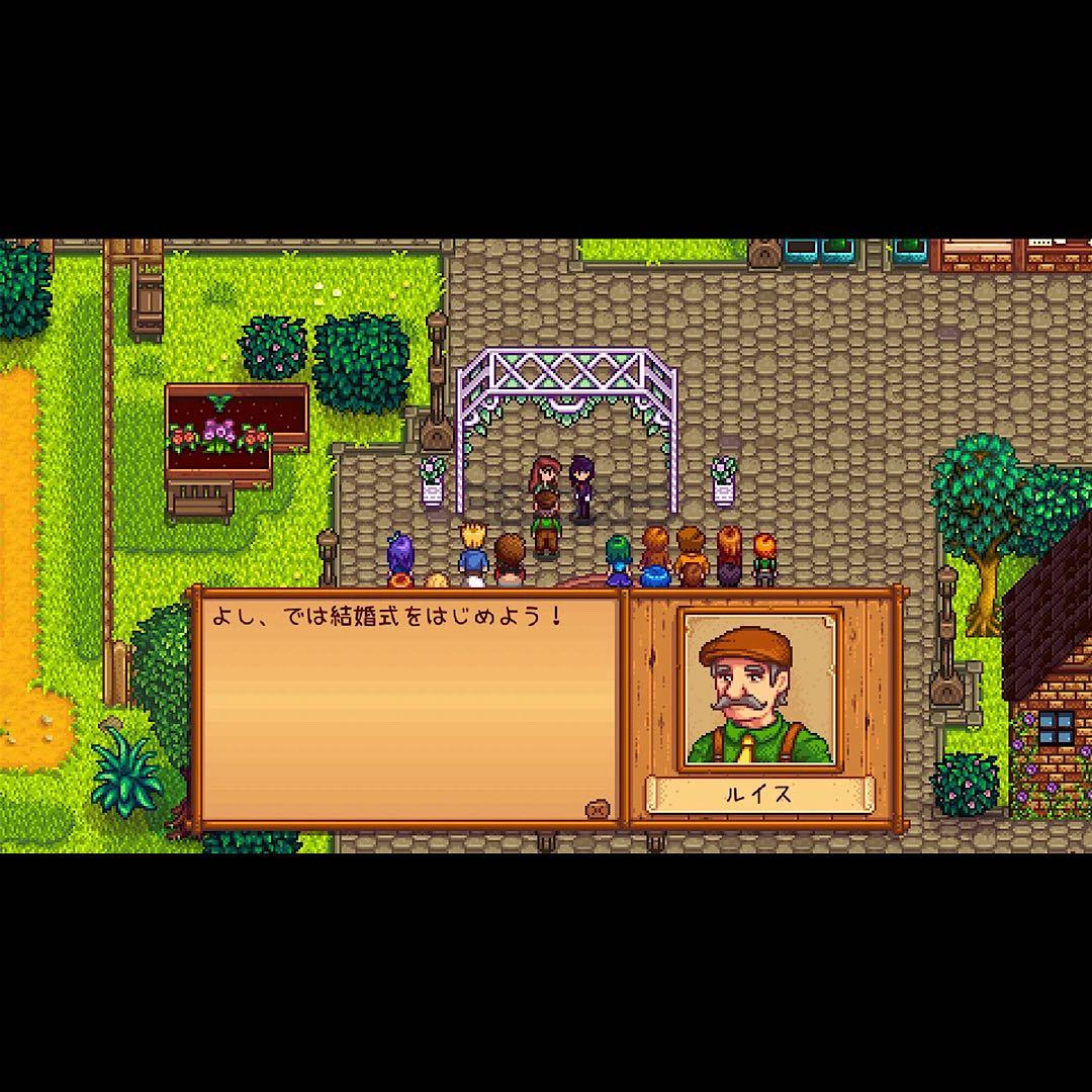 スターデューバレー Stardew Valley 北米版 switch スイッチ