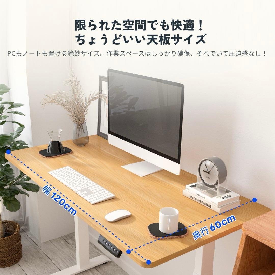 FlexiSpot E9 フレキシスポット　昇降デスク