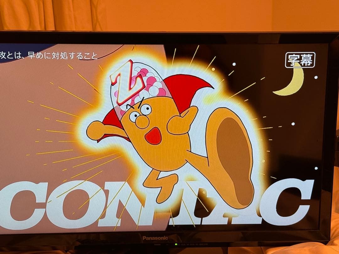 極美品 Panasonic 24型テレビ ビエラ TH-24E300
