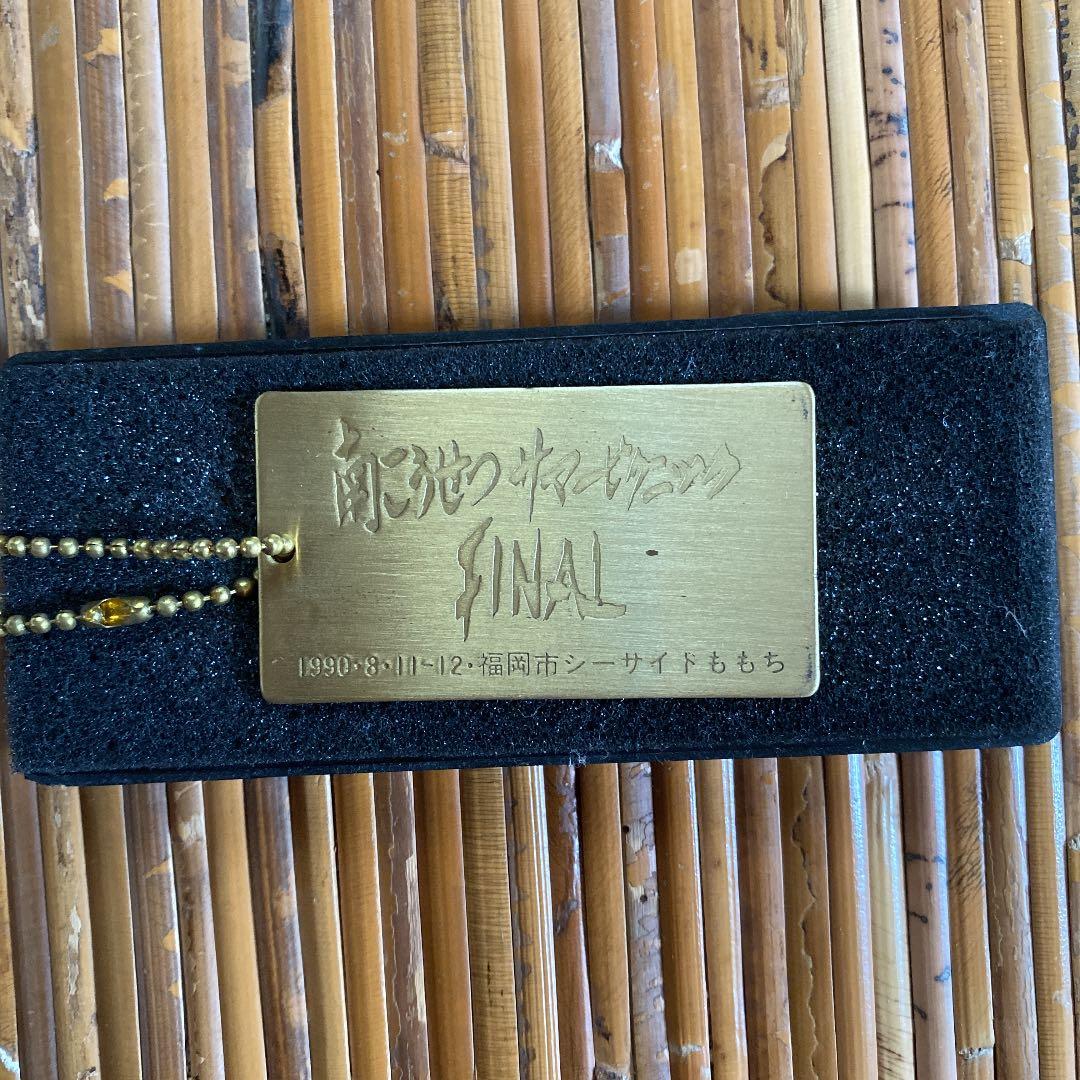 南こうせつ　サマーピクニックFINAL VHSテープ