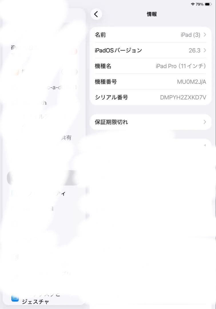 Apple iPad Pro11インチ第1世代 64GB セルラー Wi-Fi