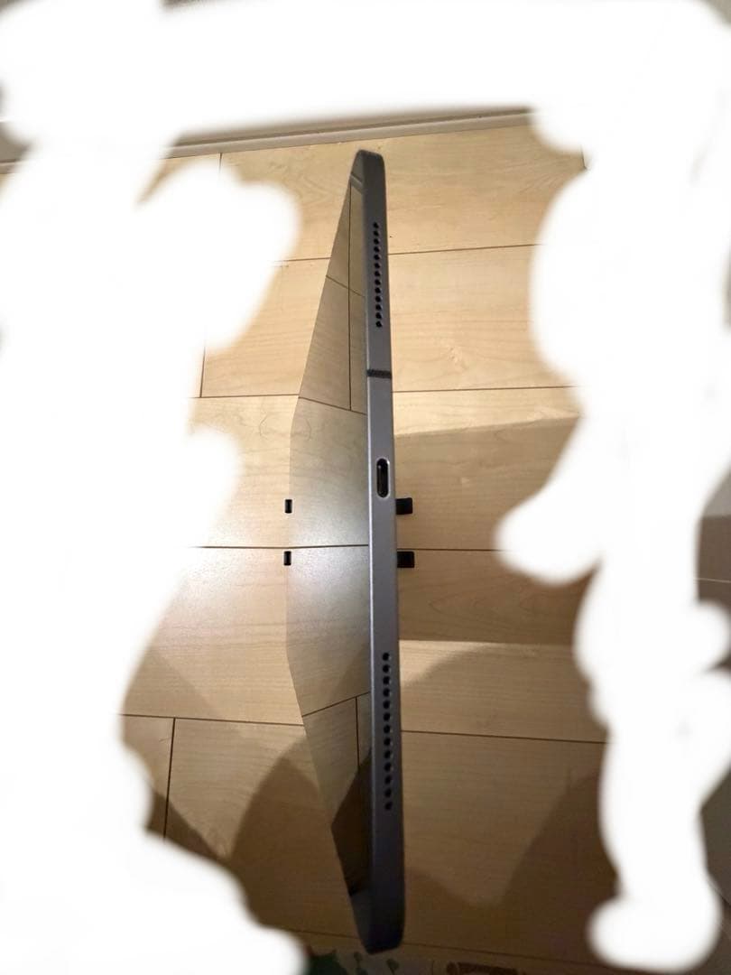 Apple iPad Pro11インチ第1世代 64GB セルラー Wi-Fi