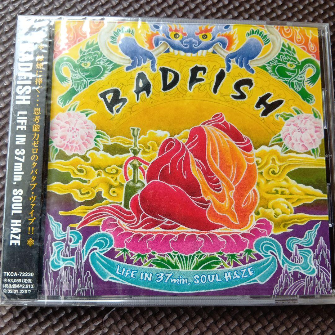 BADFISH 　LIFE IN 37min, SOUL HAZE　 見本品新品