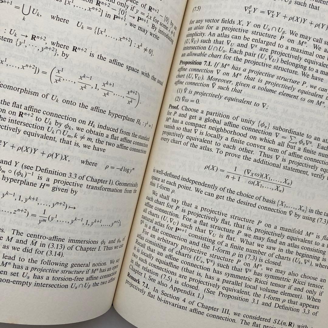 語学・辞書・学習参考書 Affine Differential Geometry