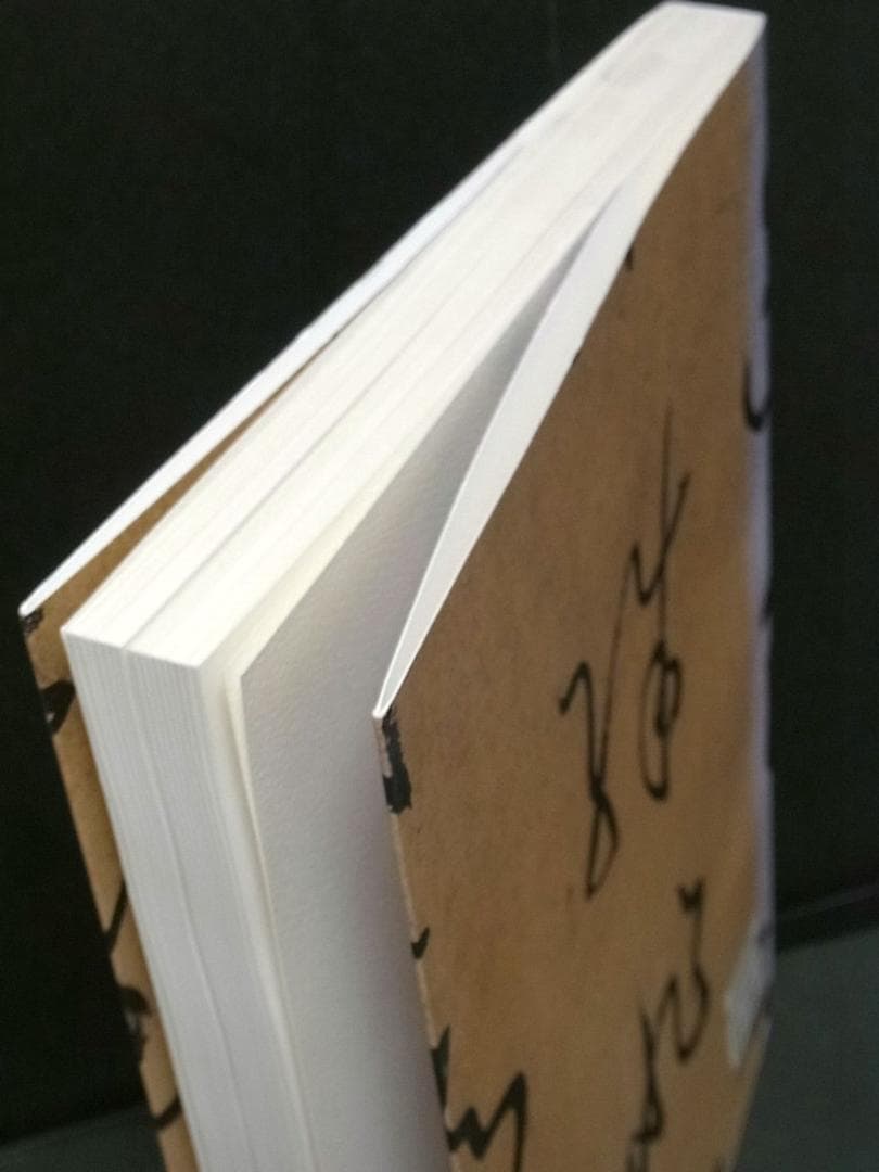 普唐法書名蹟 中国書道 王義之 孫過庭 顔真卿