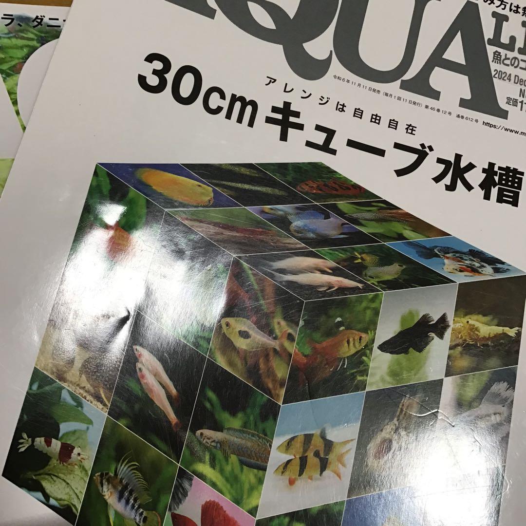 【メ】月刊アクアライフ 3冊セット