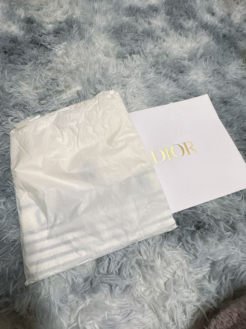 DIOR ロゴ入り ボーダー カットソー 半袖