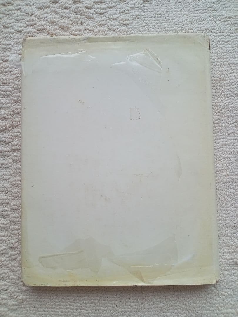 ヨーゼフ・ボイス Joseph Beuys DuMont ハードカバー ドイツ語