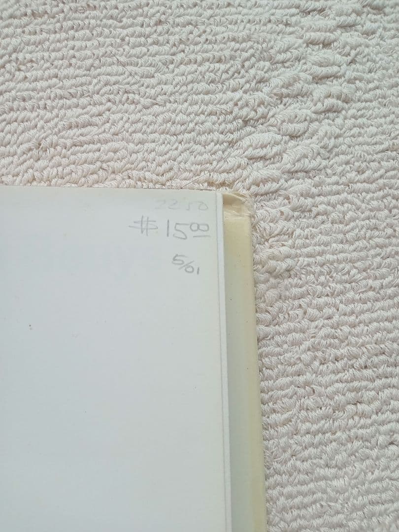 ヨーゼフ・ボイス Joseph Beuys DuMont ハードカバー ドイツ語