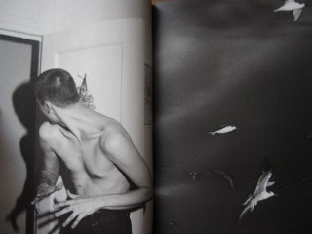 FANZINE 14　Daniel Rampulla　ダニエル・ランプラ