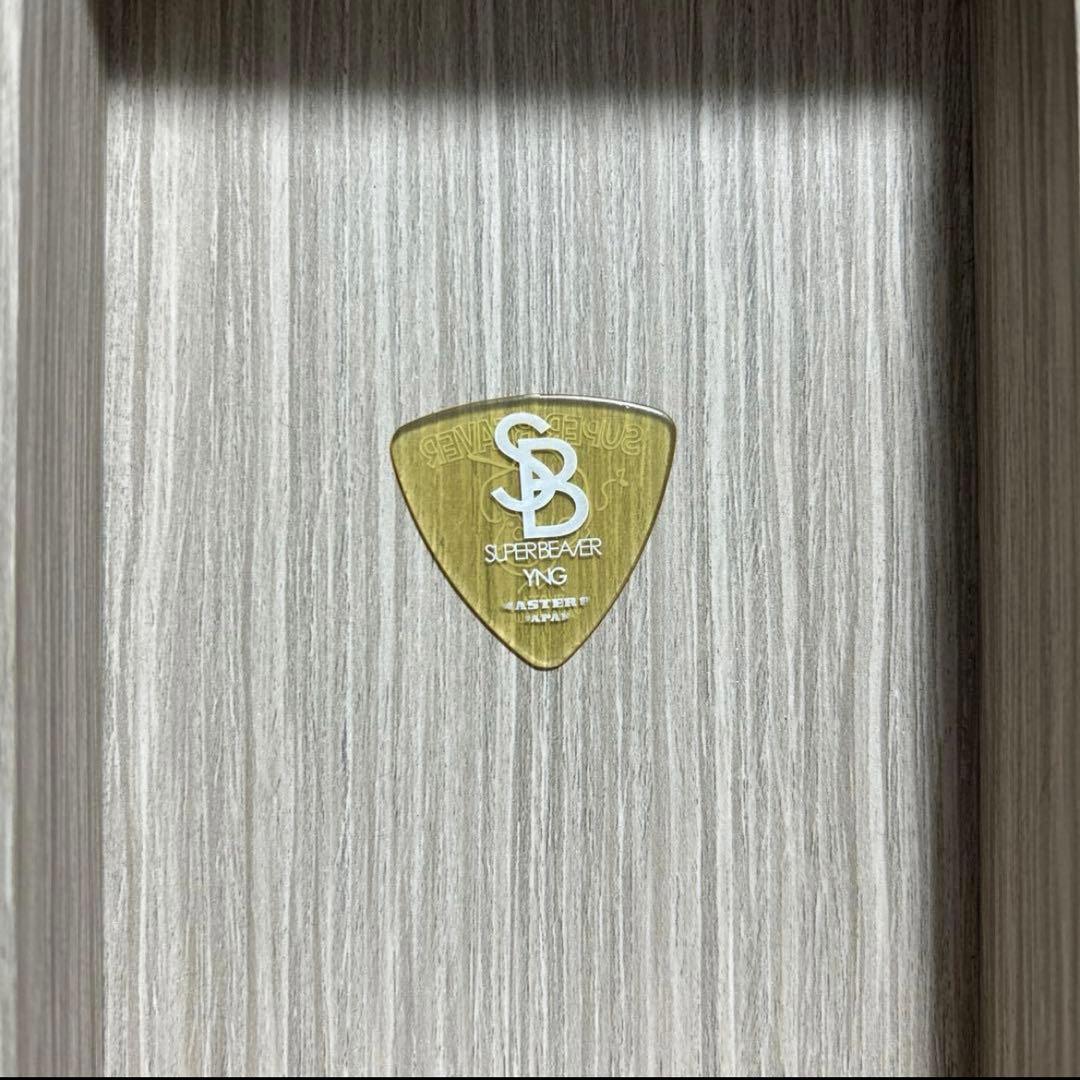 SUPER BEAVER 柳沢亮太　本人使用ピック