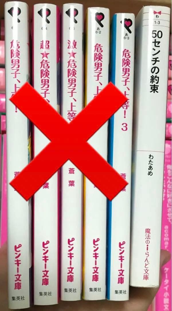 小説セット  野いちご