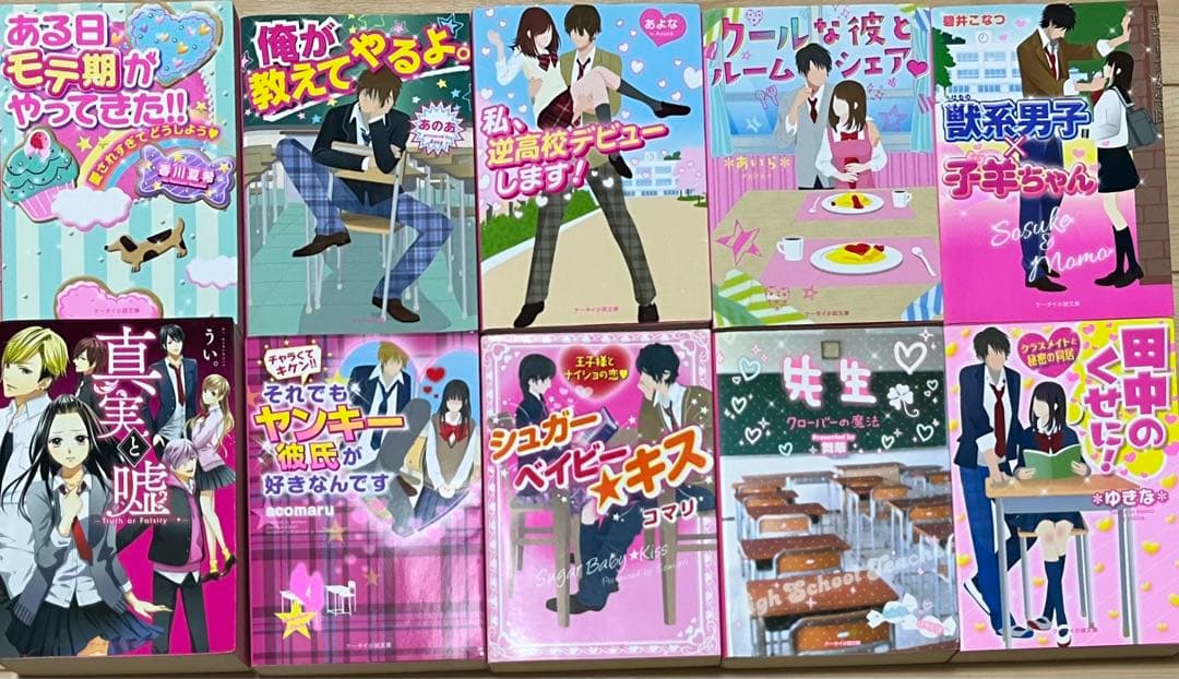 小説セット  野いちご