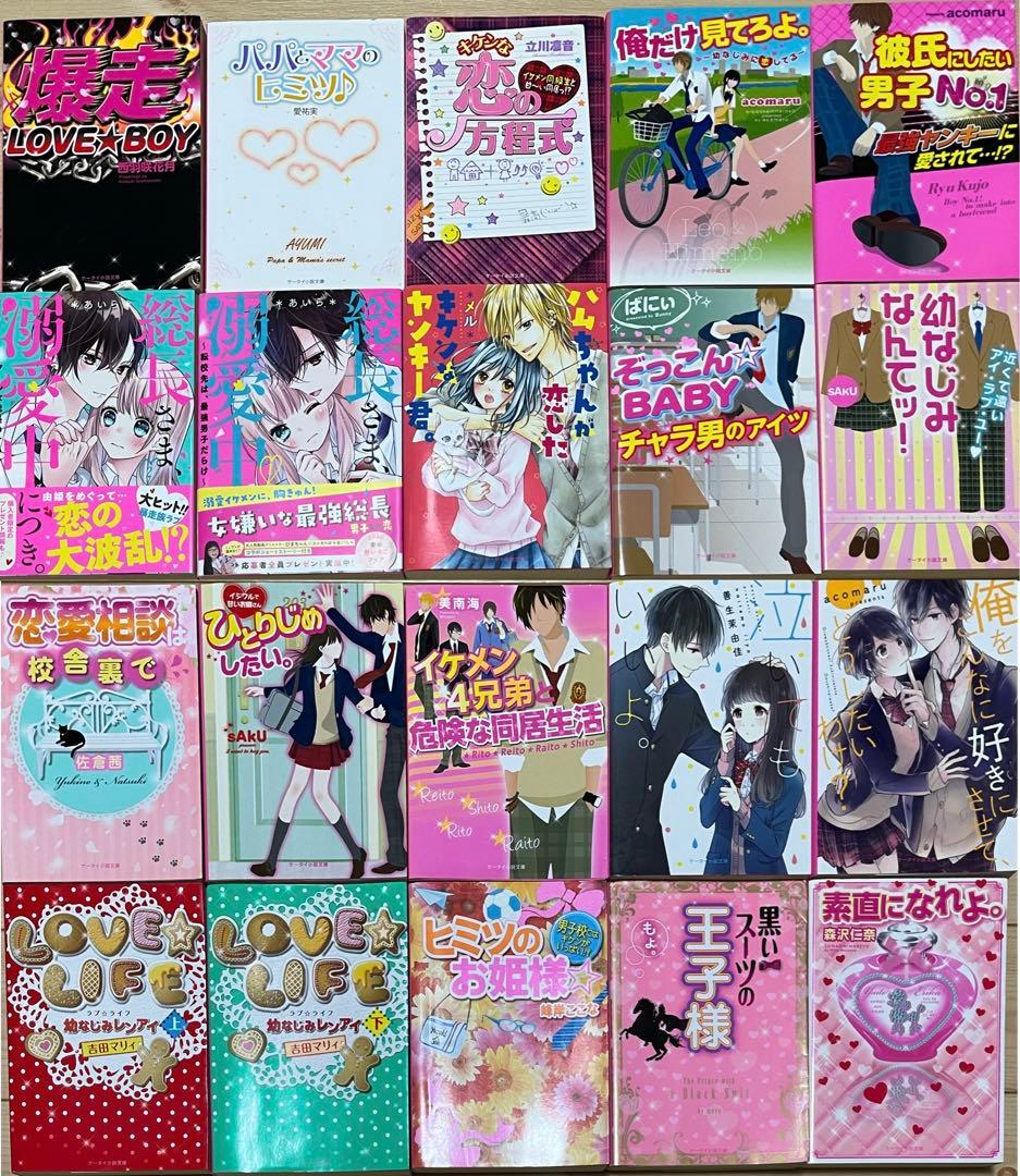 小説セット  野いちご