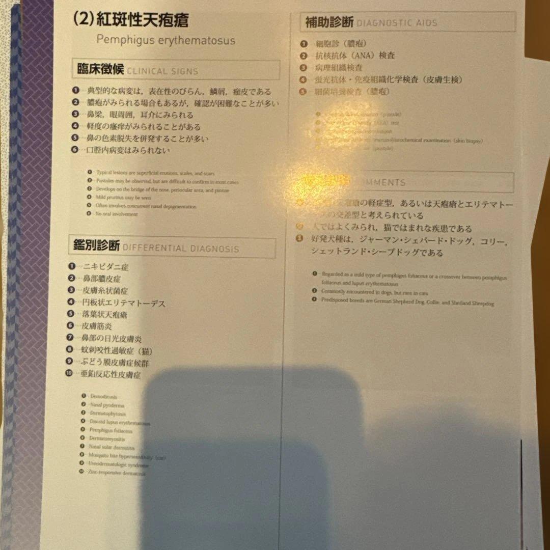 *裁断書籍　カラーアトラスBOOKS 犬と猫の皮膚病