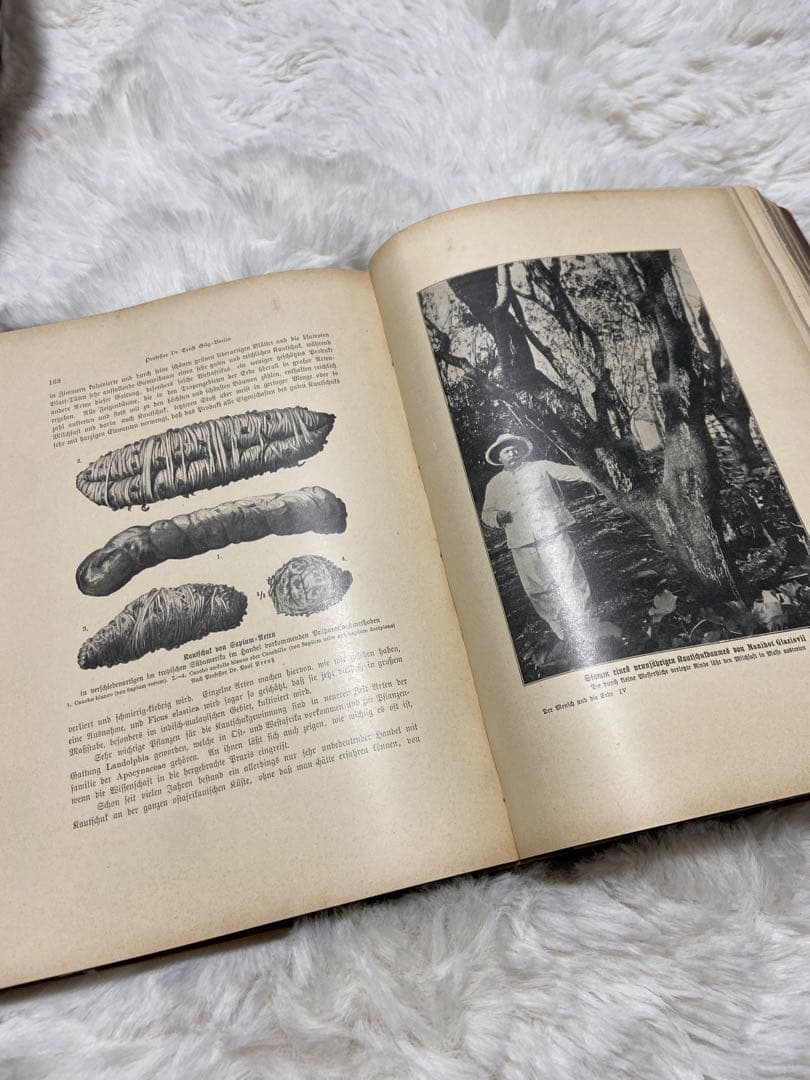 【★超貴重】アンティーク　洋書　古本　小物　中古　本