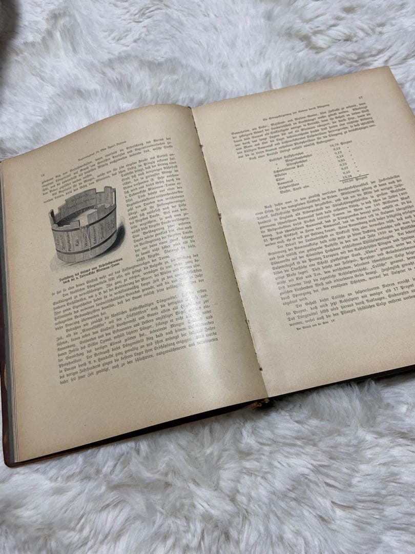 【★超貴重】アンティーク　洋書　古本　小物　中古　本