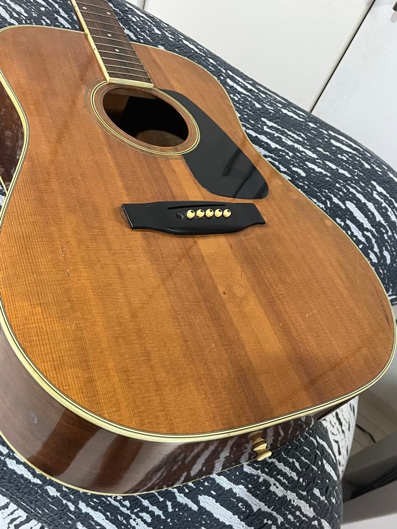 早期売りの為セール中　Morris アコースティックギター　MV-701