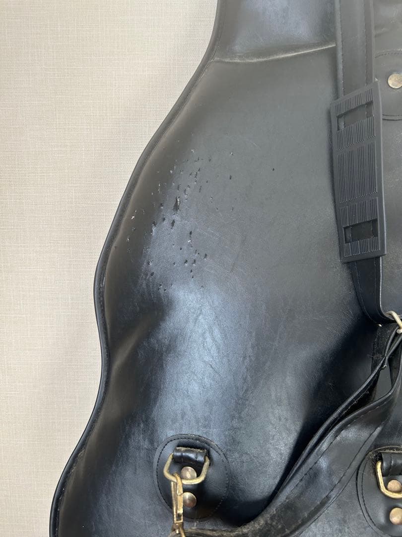 【美品_レア！】B.C.Rich BEAST スルーネック