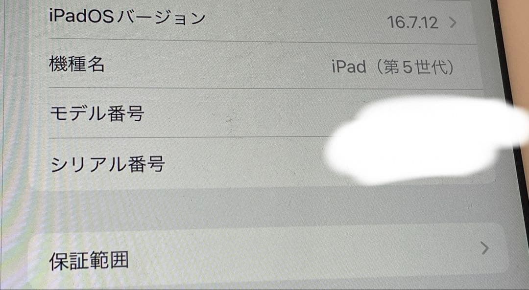 Apple iPad 第5世代 ゴールド 本体
