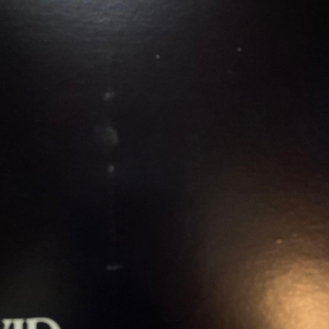 超レア デヴィッドボウイ DAVID LIVE 限定盤 シリアルナンバー LP