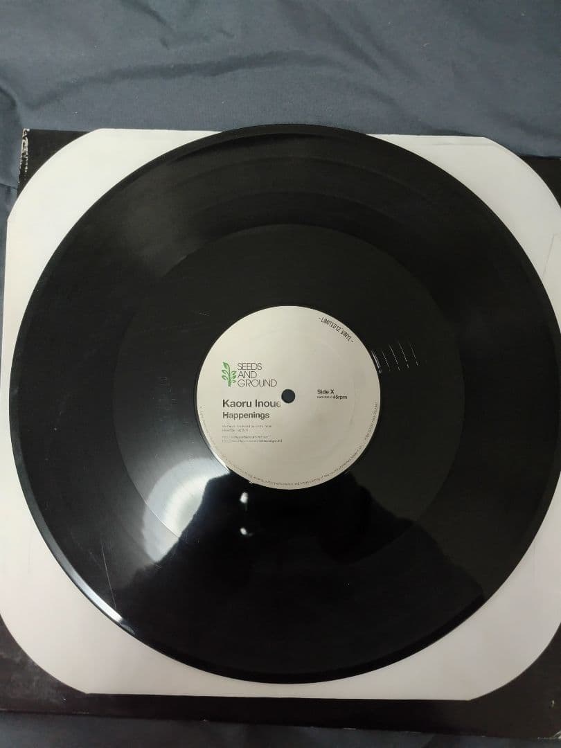 和ハウス レコード 11枚セット 12\"