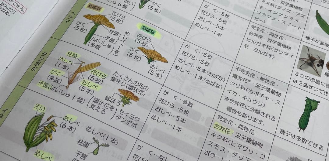 名進研　6年生　理科　コアマスター