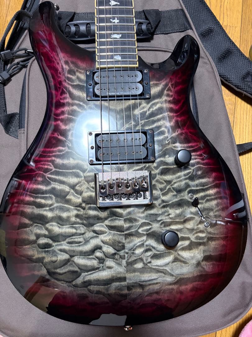 ギター Paul Reed Smith SE Mark Holcomb