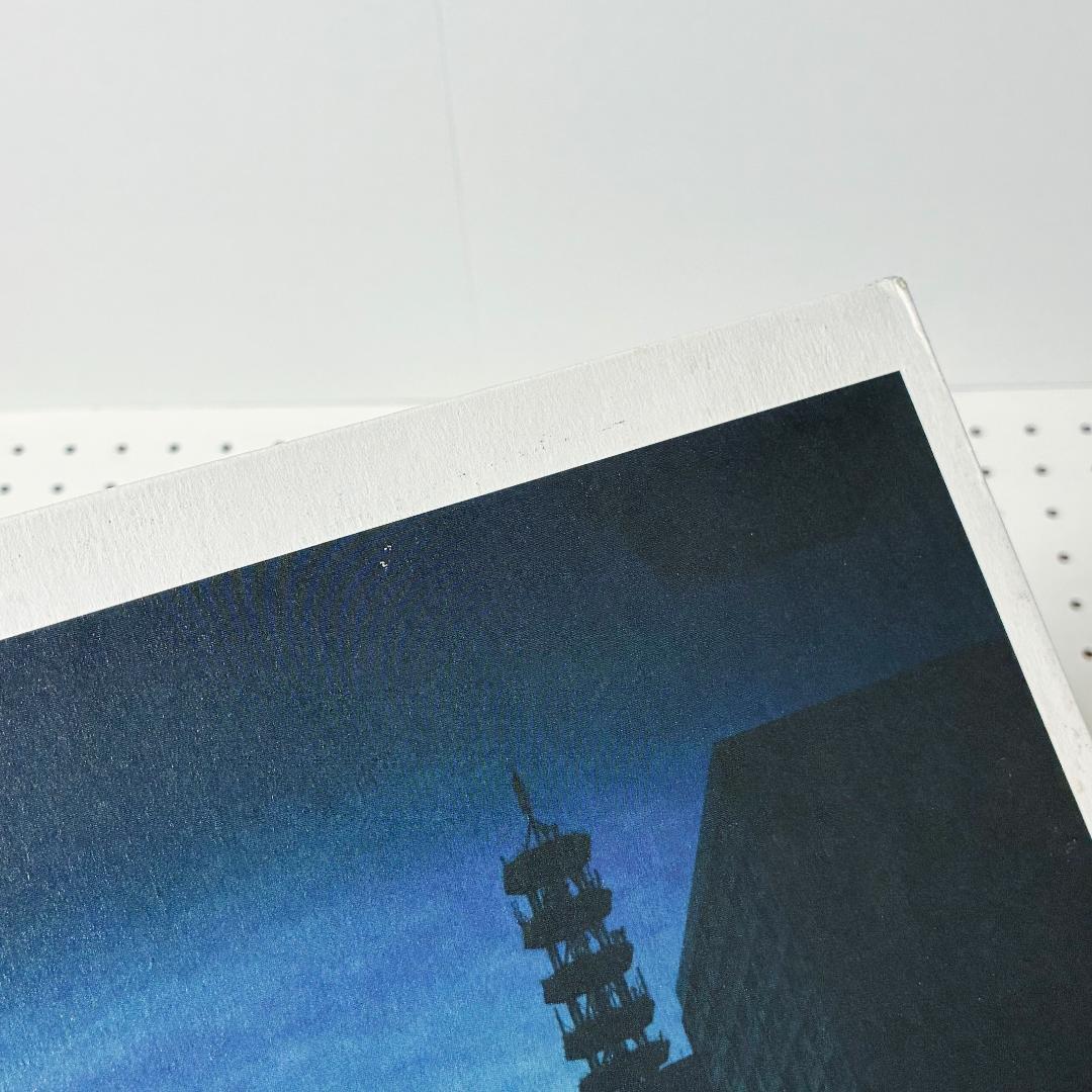 田我流とカイザーソゼ EVISBEATS ゆれる 収録 LPレコード