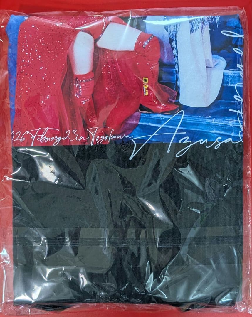 稲葉姉妹 凱旋記念 Tシャツ M　稲葉あずさ　稲葉ともか　スターダム　JTO
