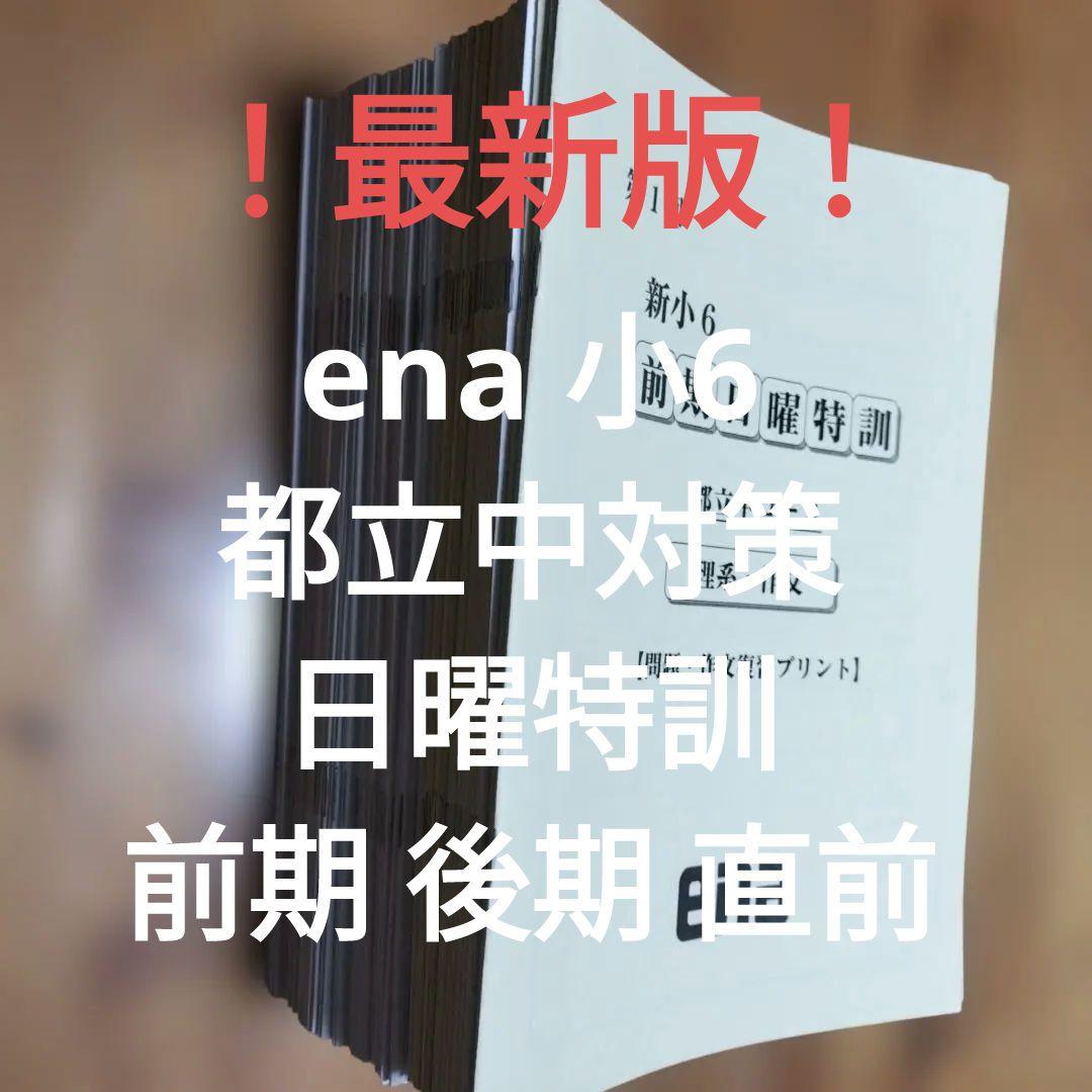 最新版 小6 日曜特訓　前期日特 後期日特 直前特訓 三鷹中 全31回 バラ相談