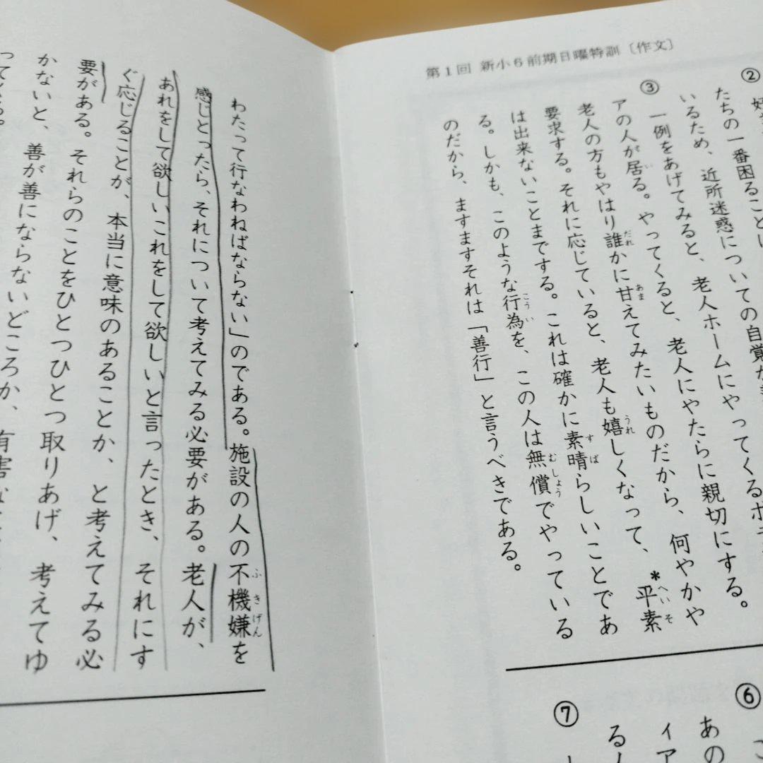 最新版 小6 日曜特訓　前期日特 後期日特 直前特訓 三鷹中 全31回 バラ相談