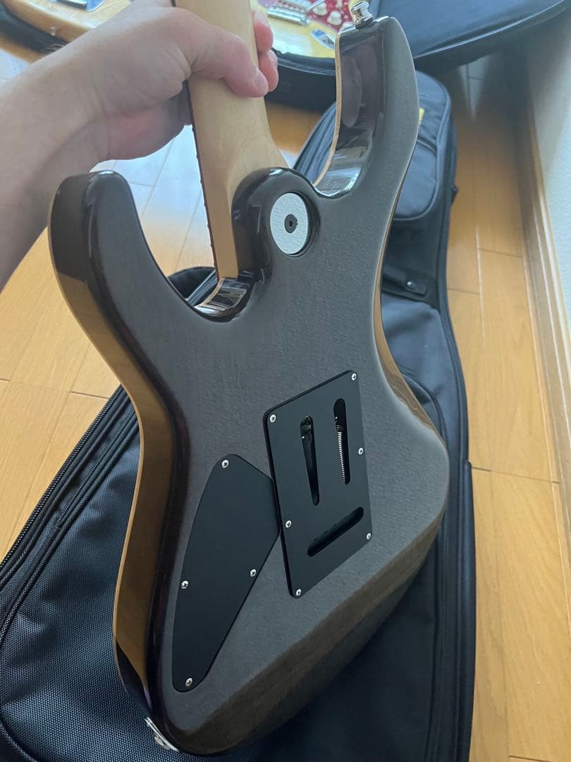 freedomcustomguitarresearchハイドラ