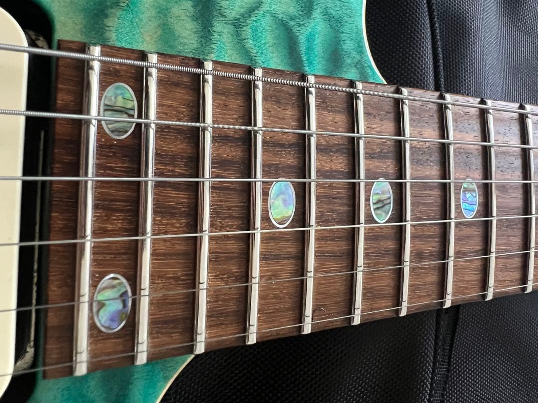 freedomcustomguitarresearchハイドラ