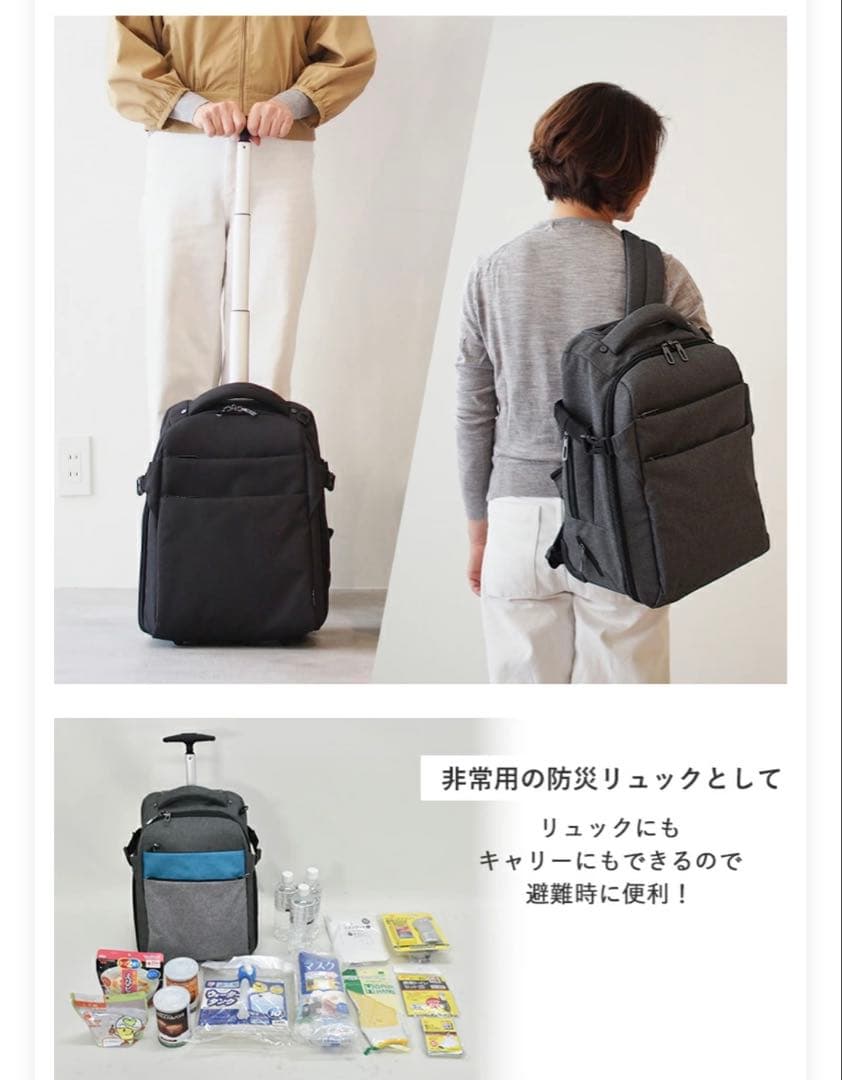 週末値下げ【美品・迅速発送】モエルグ リュックキャリー Sサイズ 2way
