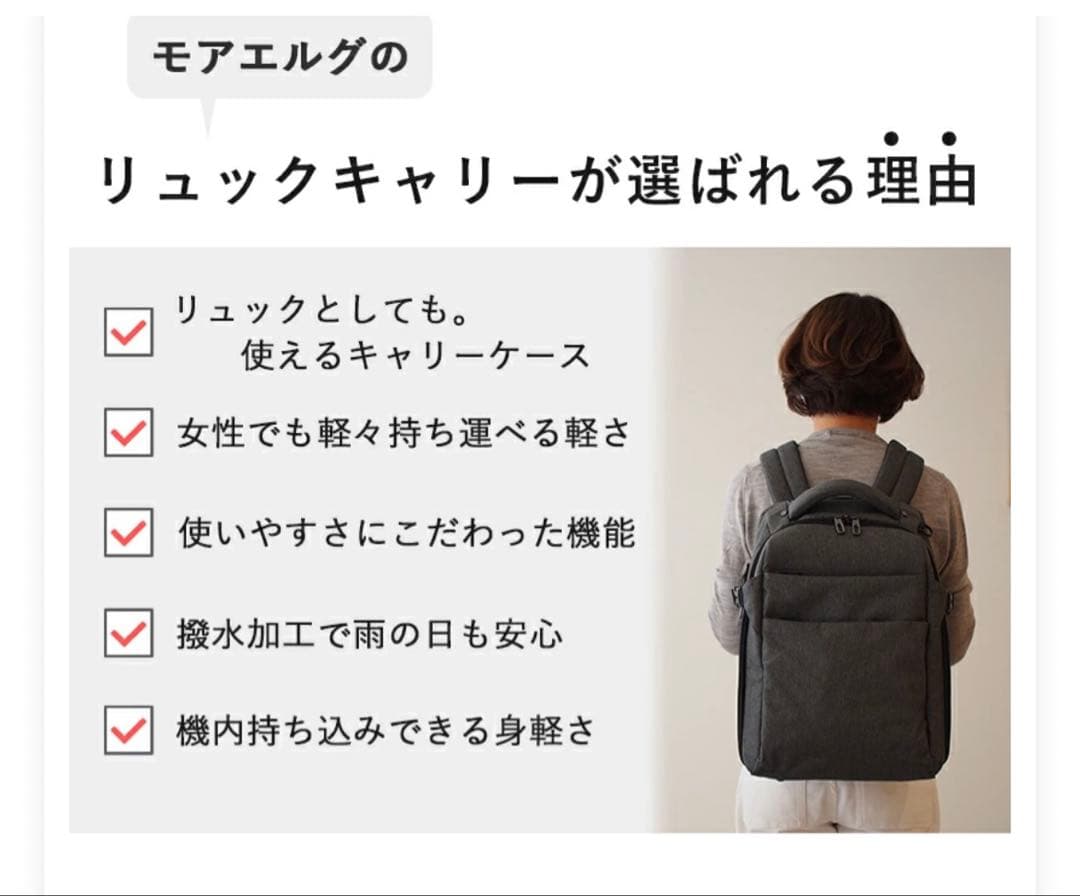 週末値下げ【美品・迅速発送】モエルグ リュックキャリー Sサイズ 2way