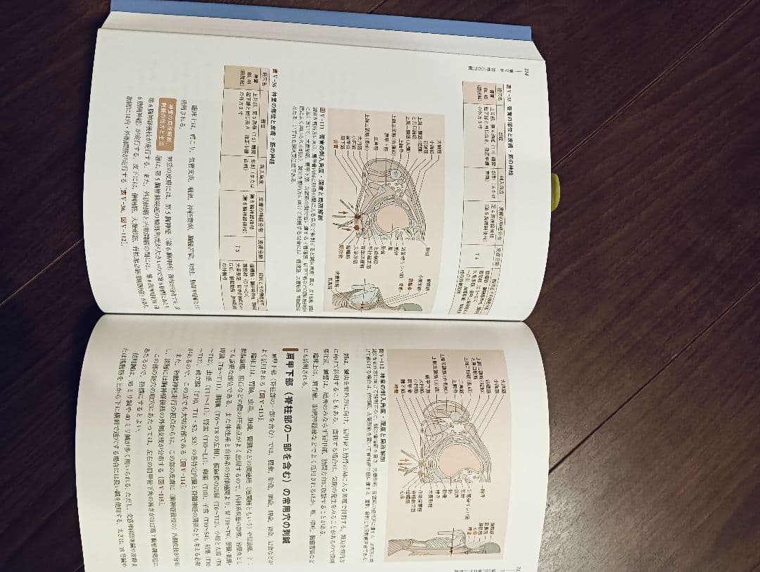 未使用 明治国際医療大学 2023年 教科書 鍼灸/解剖学/経絡経穴 東洋医学