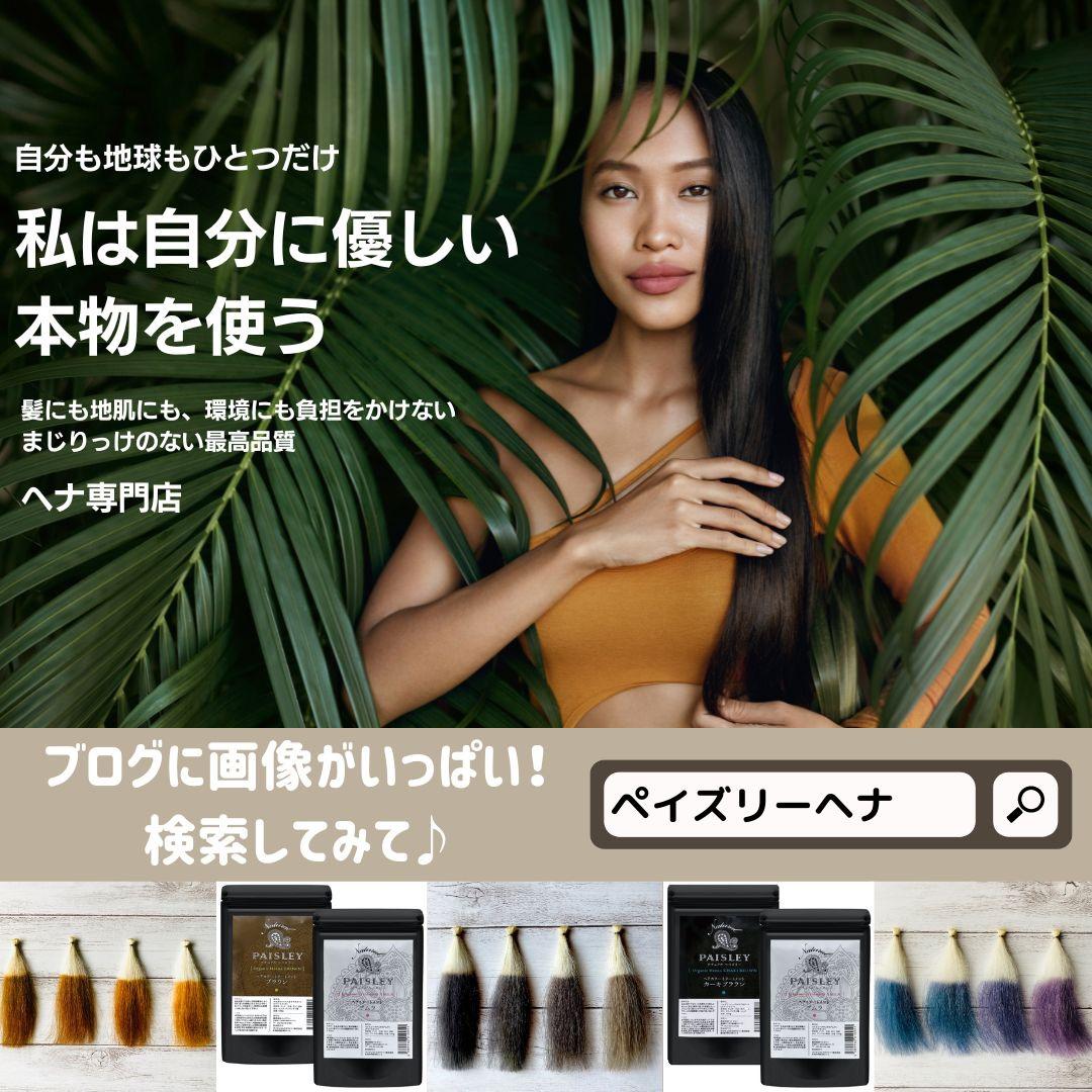 ヘナ白髪染め【最高AAAランク高品質オーガニックヘナ】カーキブラウン100g×4