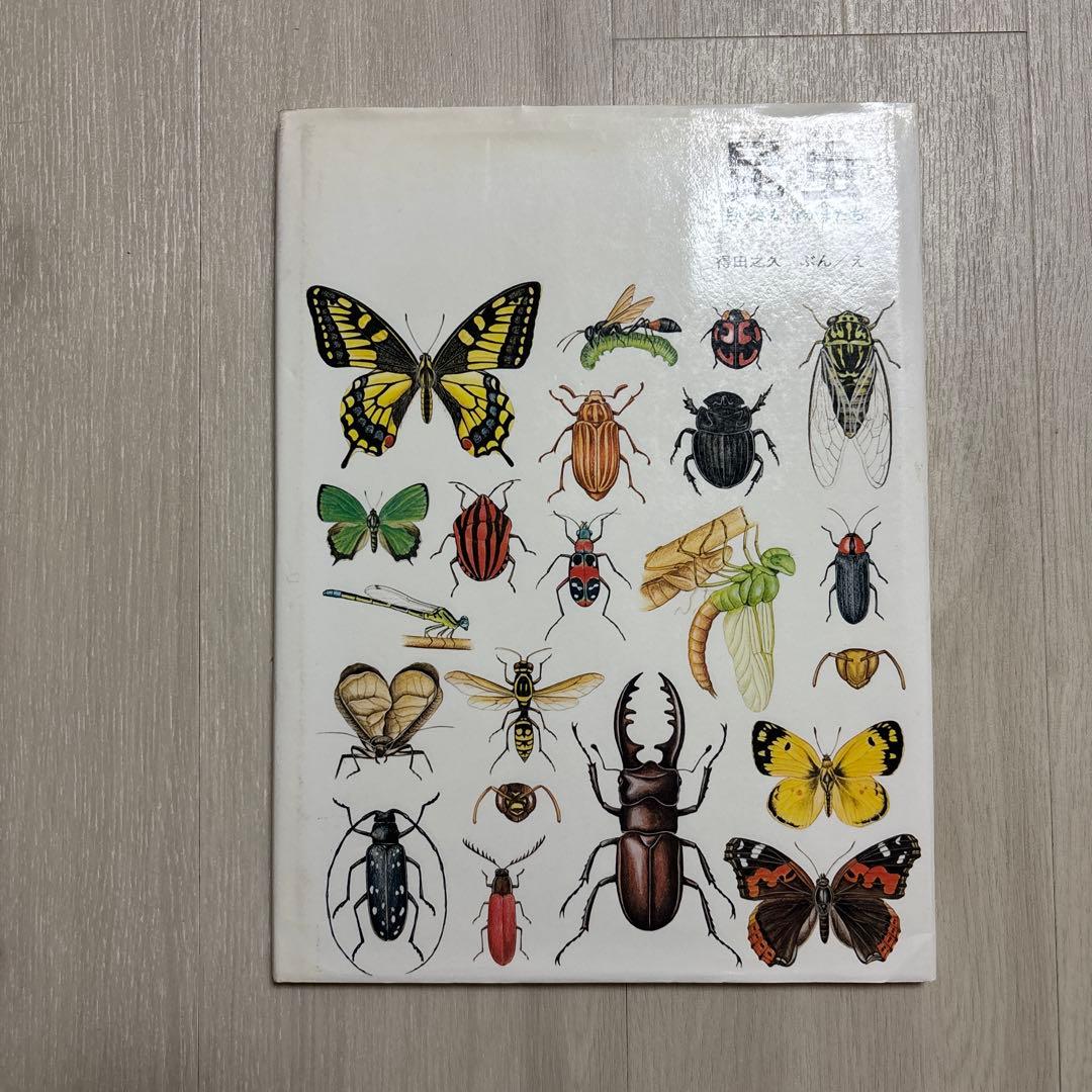 r*y様 絵本　0歳　幼児　まとめ売り　26冊 ぐりとぐら　鏡絵本　かこさとし