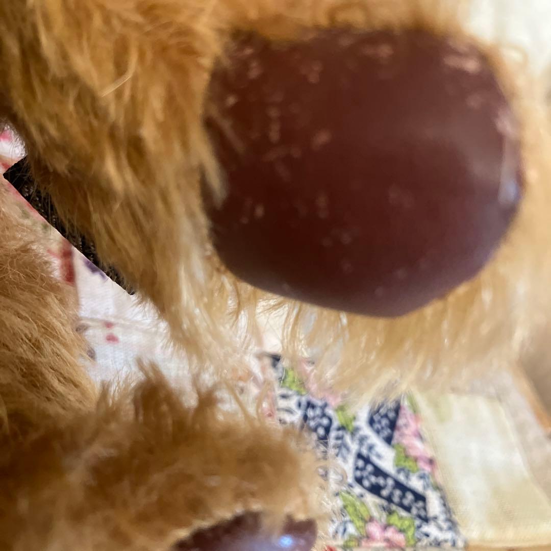 テディベア　国内アーティストベア　　 Chito-Bear 身長25 座高20