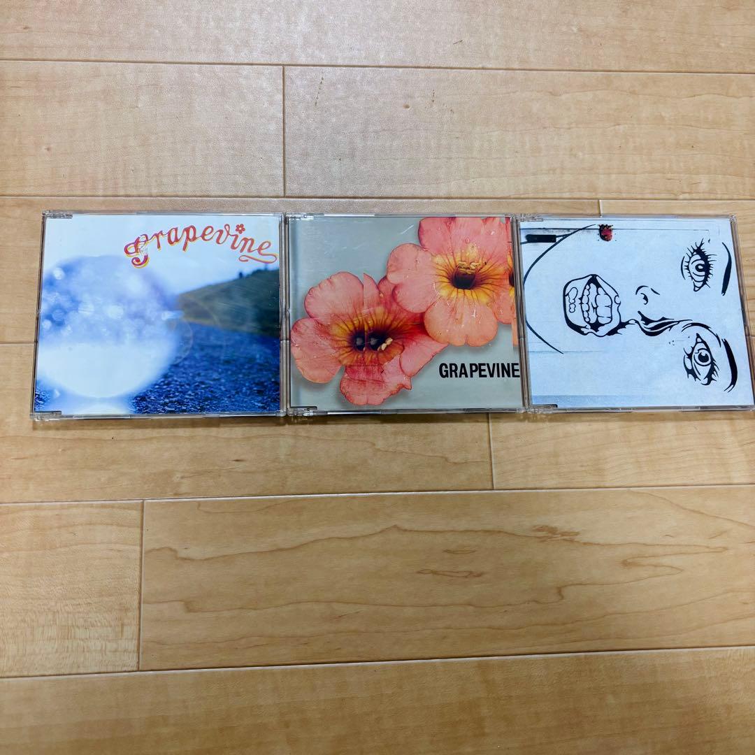 GRAPEVINE CD まとめ売り アルバム シングル ライブ おまけ？14枚
