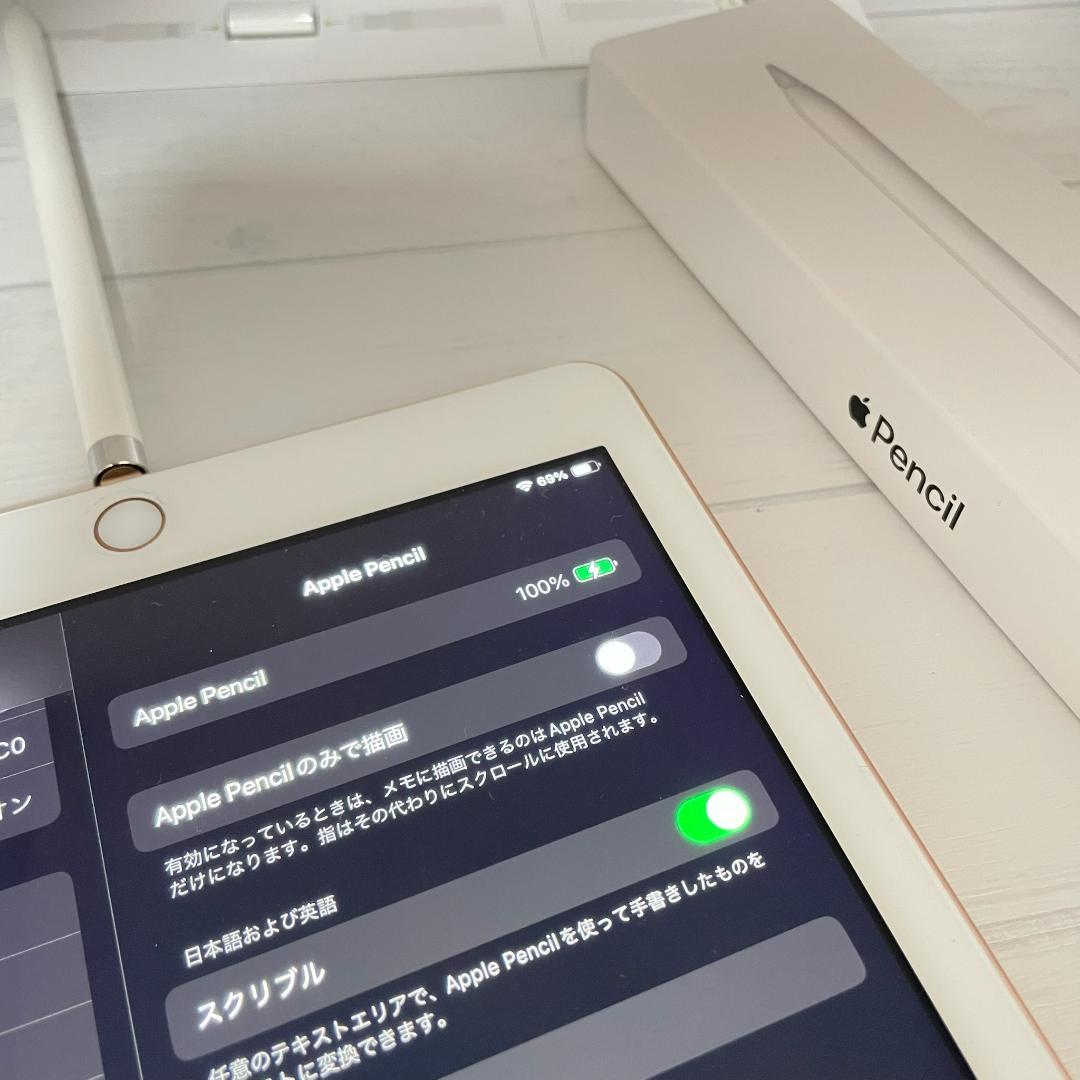 動作確認済み【美品】Apple Pencil 第一世代 本体＋付属品set