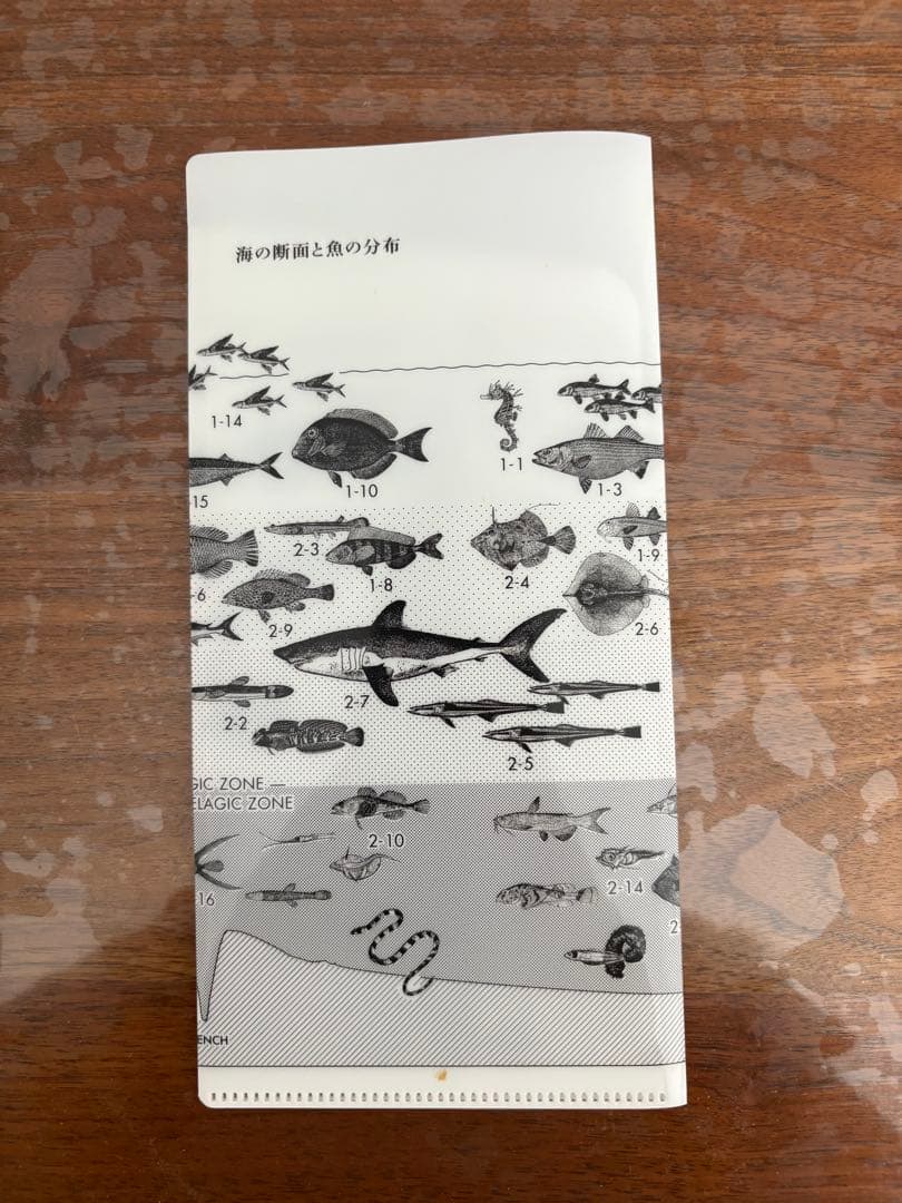 サカナクション CD　魚図鑑　完全生産限定プレミアムBOX [3CD+魚大図鑑]