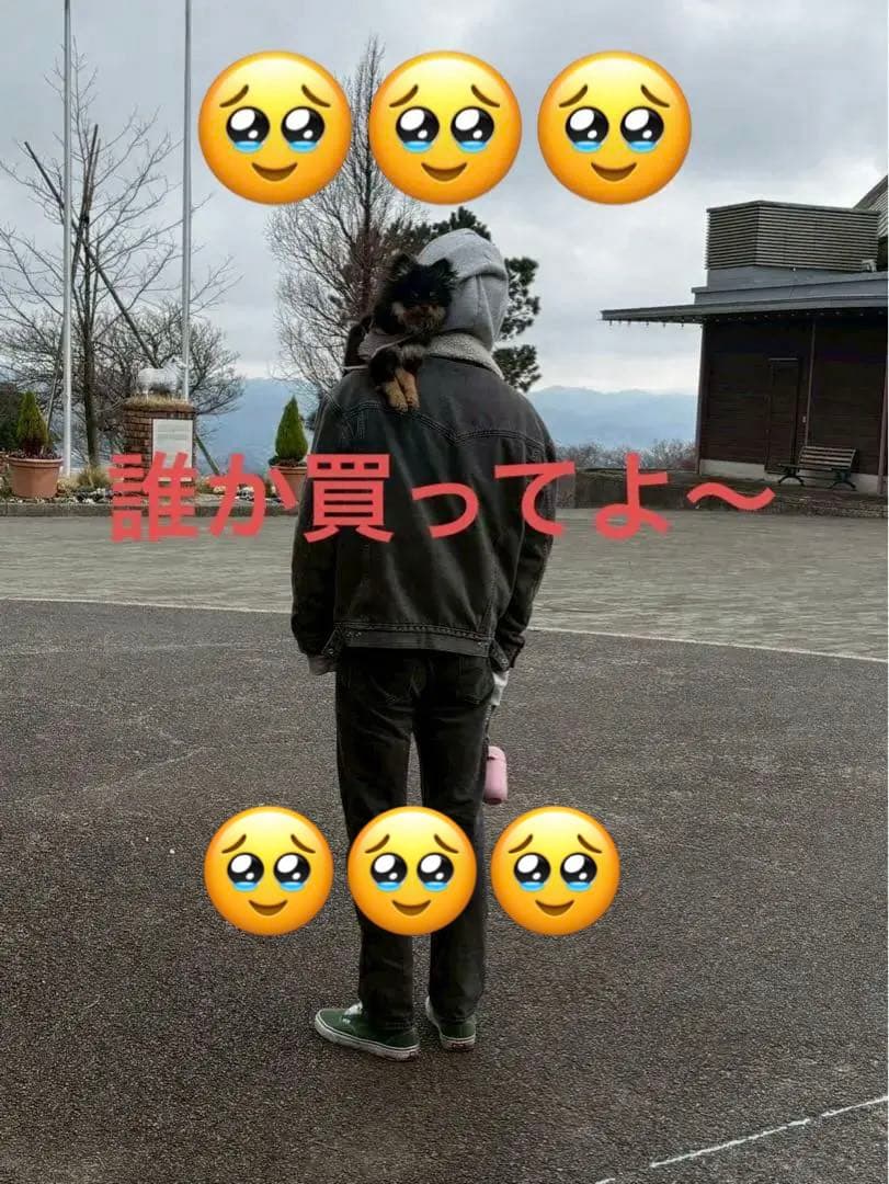 ヤ*マ様 値下げ交渉で！ペットドライヤー　silumo 72l 多頭飼いの方にも