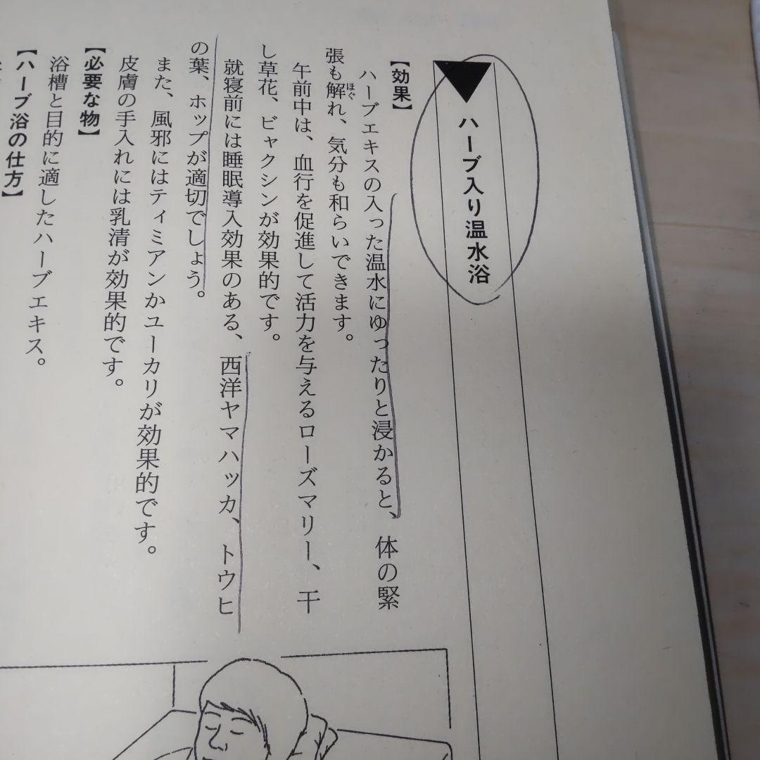 クナイプ自然療法 下
